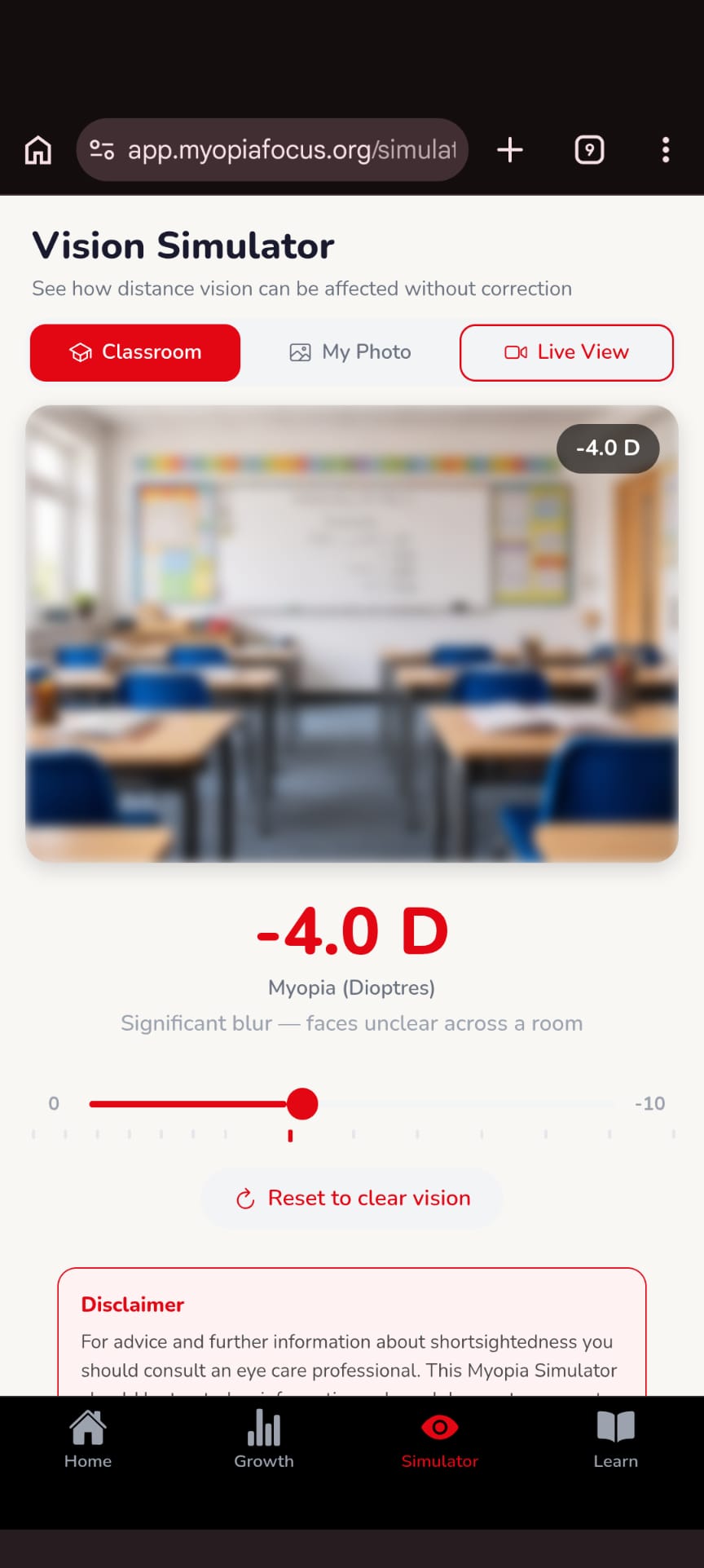 Vision simulator screen