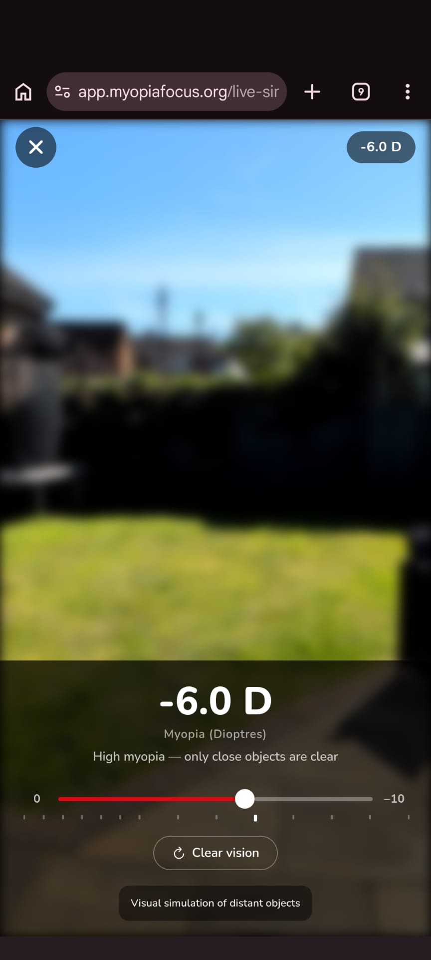 Live view vision simulator